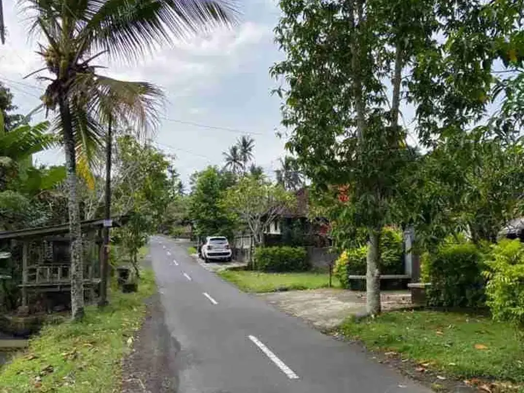 Tanah Megati Bantas Selemadeg Timur Zona Kuning - Image 6 of 8