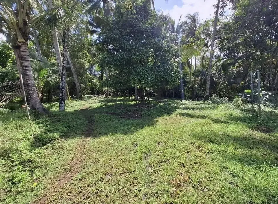 Dijual tanah kebun los sungai dan view sawah terasering - Image 8 of 9