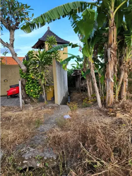 tanah murah 4 are di tibu beneng canggu - Image 3 of 6