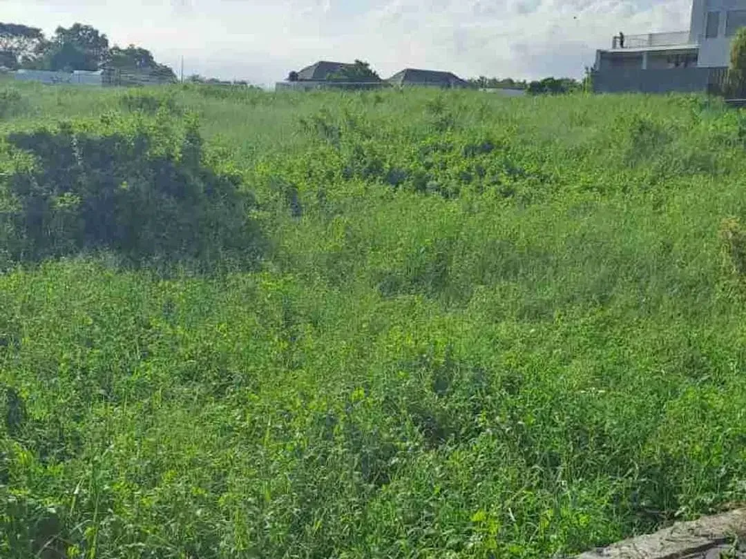 Lahan 500m² di Berawa Dekat Pantai dan Area Wisata - Image 4 of 6