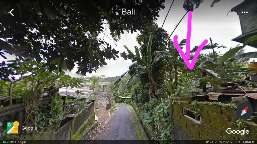 Dijual Tanah 38 are Daerah Tegalalang - Image 6 of 10
