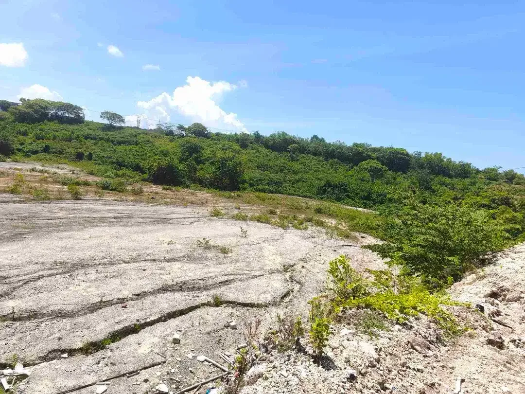 dikontrakkan tanah 1 hektar IDR 20 JT/are/tahun kawasan Melasti beach Ungasan Kuta Selatan Badung Bali - Image 1 of 10