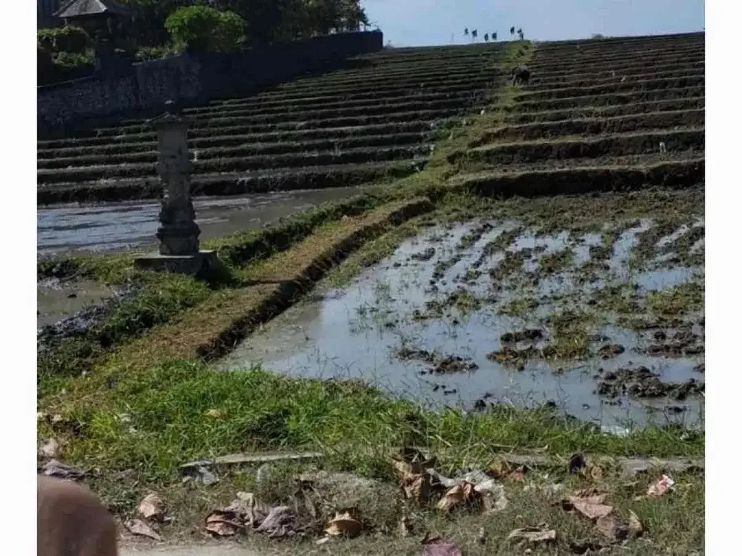 DIJUAL TANAH STRATEGIS PINGGIR PANTAI SUDIMARA TABANAN BALI - Image 3 of 8