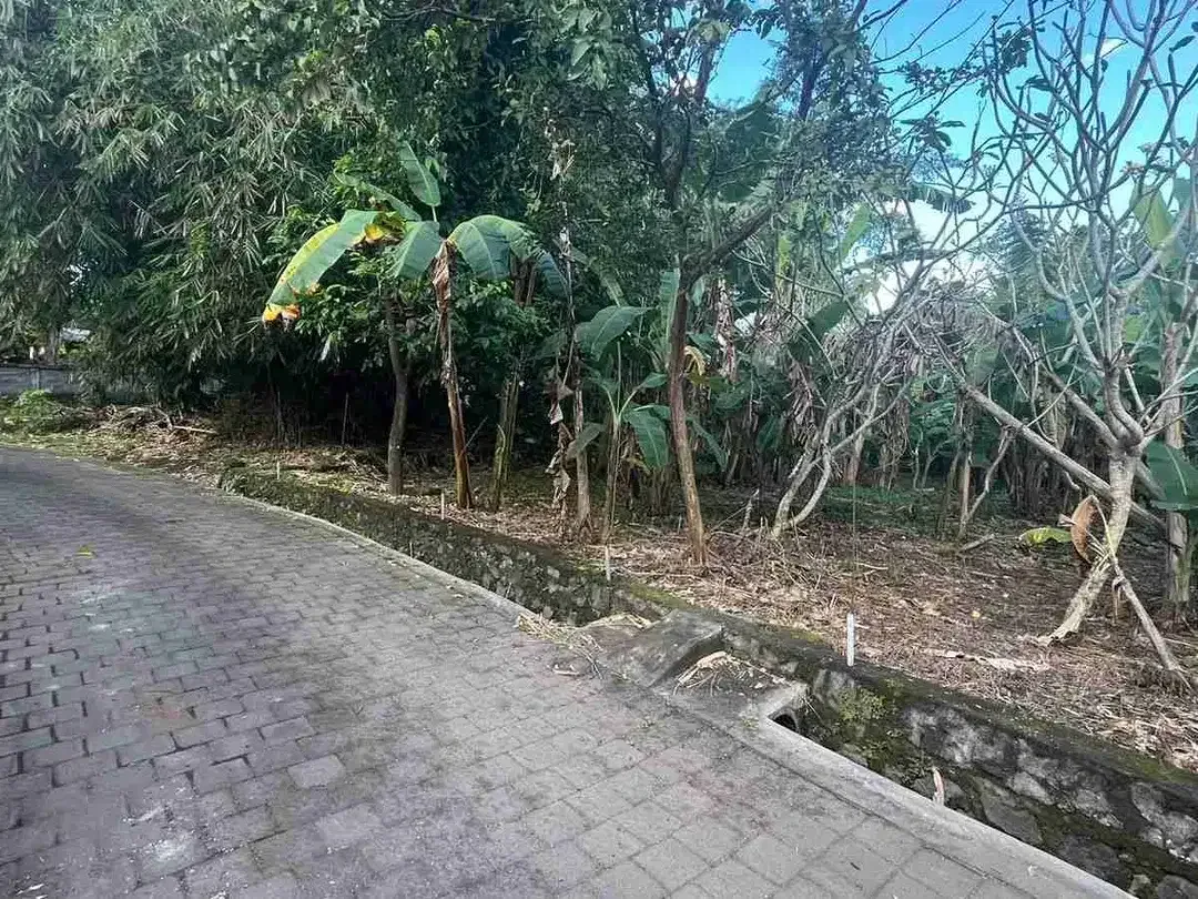 jual tanah dekat pantai tanah lot tabanan bali. - Image 4 of 10