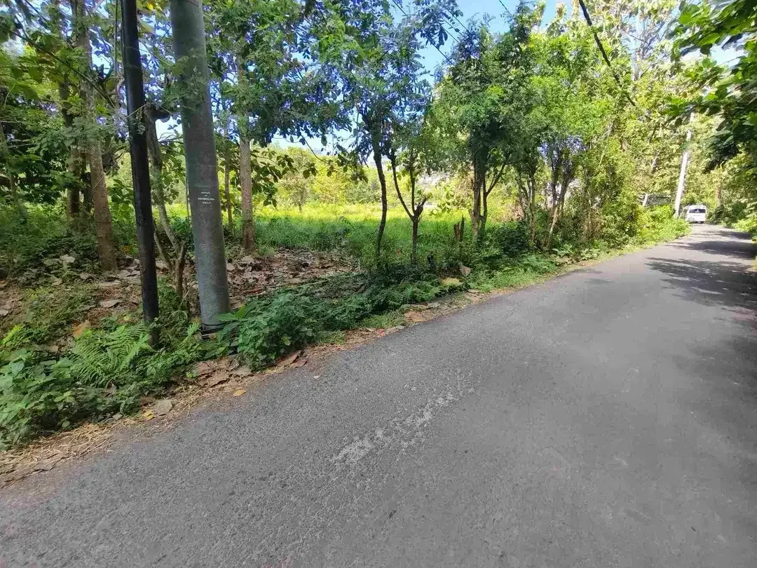 dijual tanah 2035m² IDR 450 juta per are dekat poltekpar Bali STP nusa dua Kuta Selatan Badung Bali - Image 4 of 10