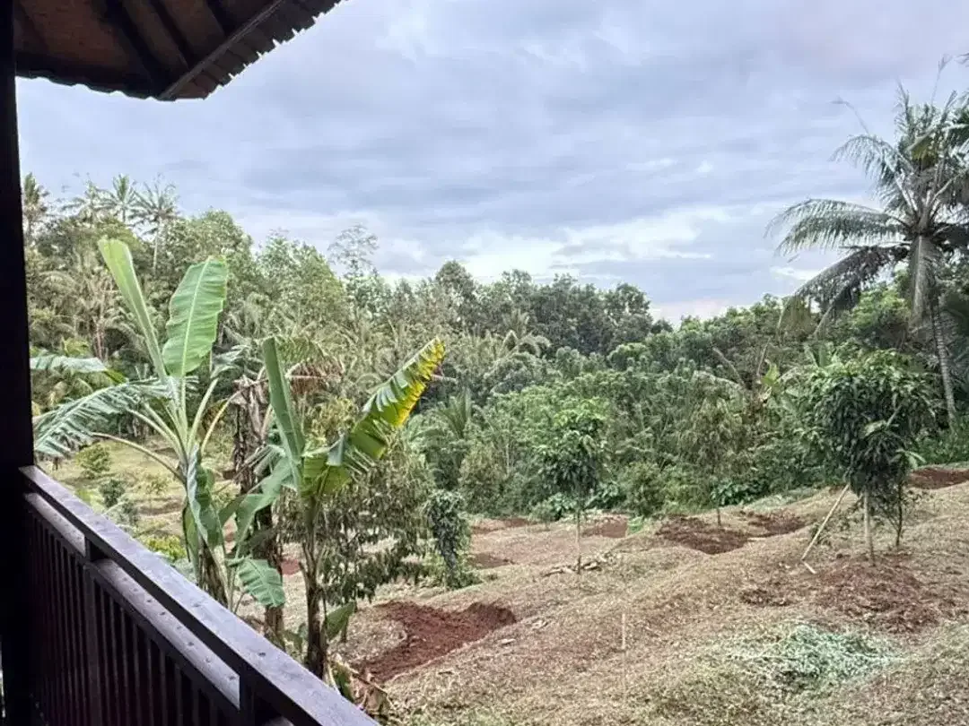 Tanah kebun 33are (Bonus Villa Kayu Siap Huni) Kawasan Wisata Megati Sesandan, Tabanan Bali - Image 6 of 10