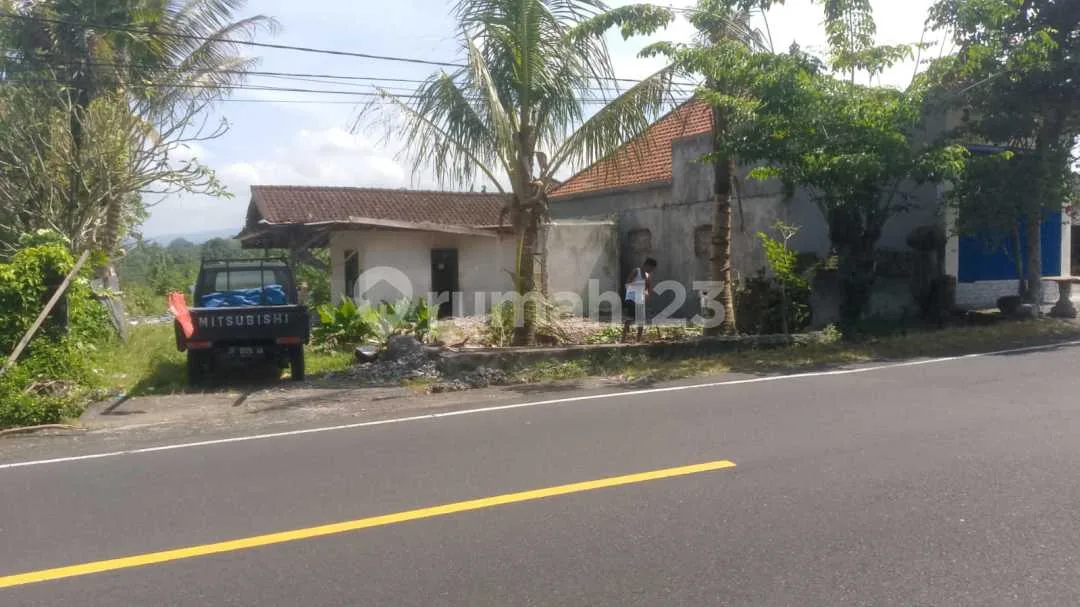 Tanah Strategis, Zona Kuning Siap Bangun Nego!!!Nego!!!Nego!!! Perean , Baturiti - Bali . Jalan Utama Denpasar - Bedugul. Investasi yang Menjanjikan. - Image 3 of 4
