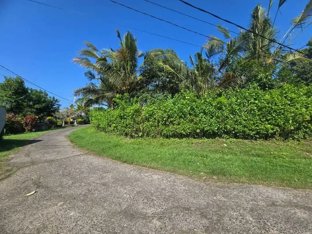 Dijual tanah murah los sungai bebatuan   di bali - Image 5 of 9