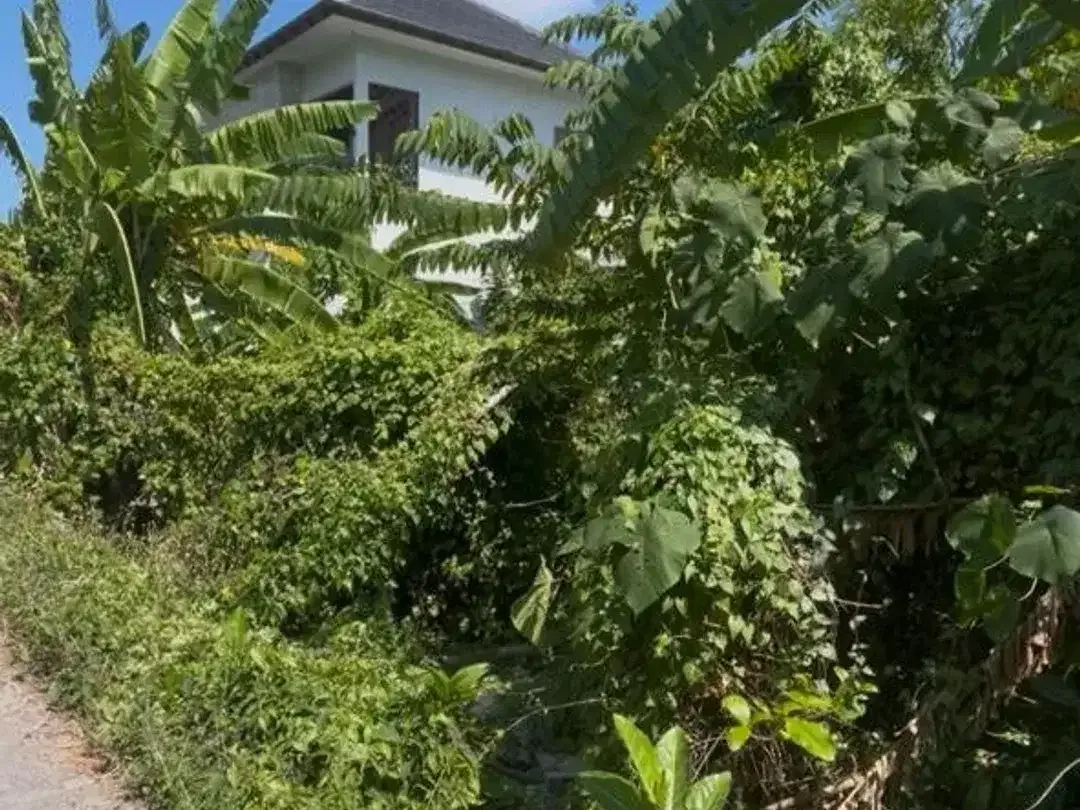 STRATEGIC LAND IN PRIME SEMINYAK - Image 2 of 4