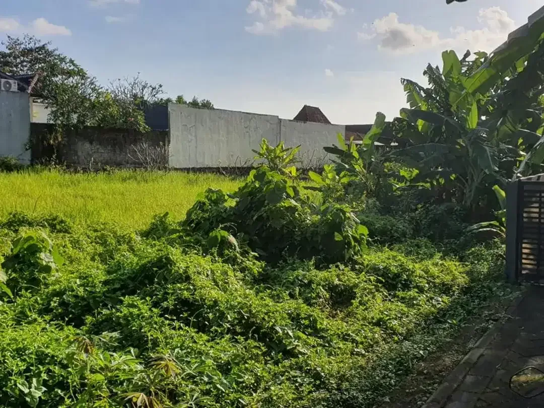 Leasehold - Rare Opportunity! 10 Are Land in prime area, Canggu, Bali - Image 5 of 8