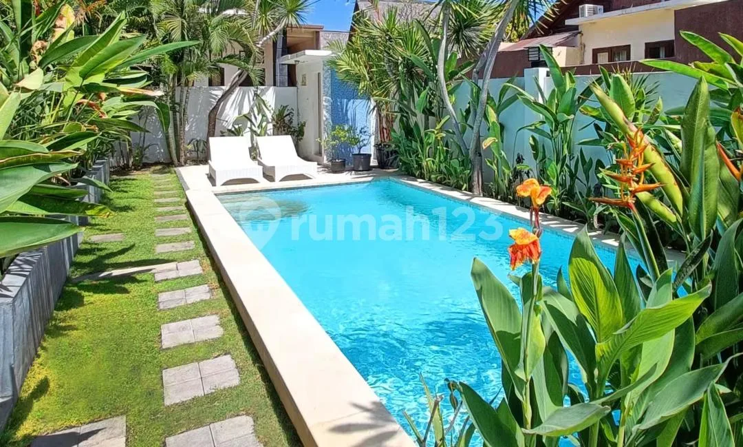 Fully Furnished Apartment With Swimming Pool For Monthly Rent In Sanur Bali - Image 3 of 4