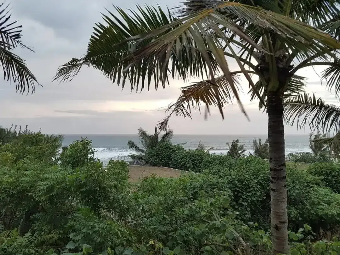 FOR SALE LAND PREMIUM OCEAN VIEW GIANYAR - Image 1 of 1