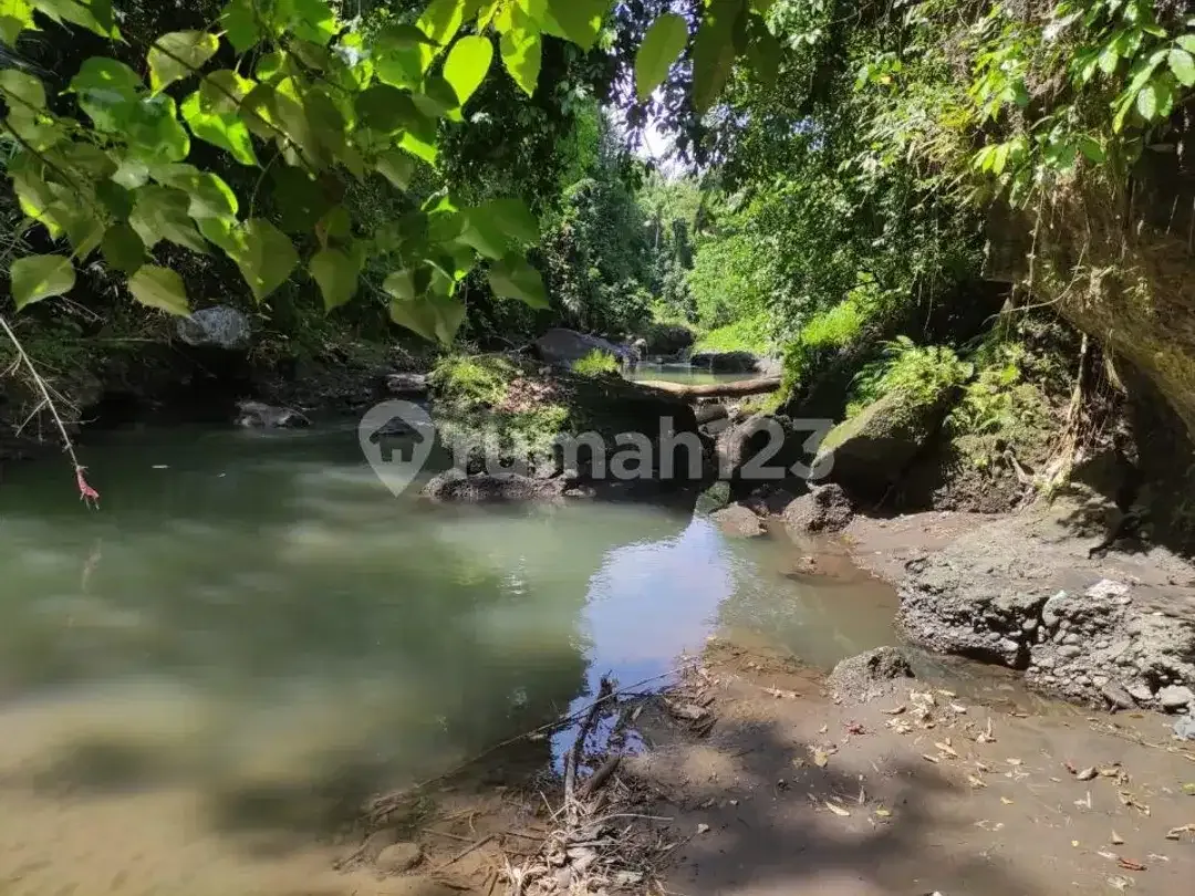 Dijual Cepat Tanah Pinggir Jalan Utama Investasi Komersial di Gianyar - Image 7 of 10