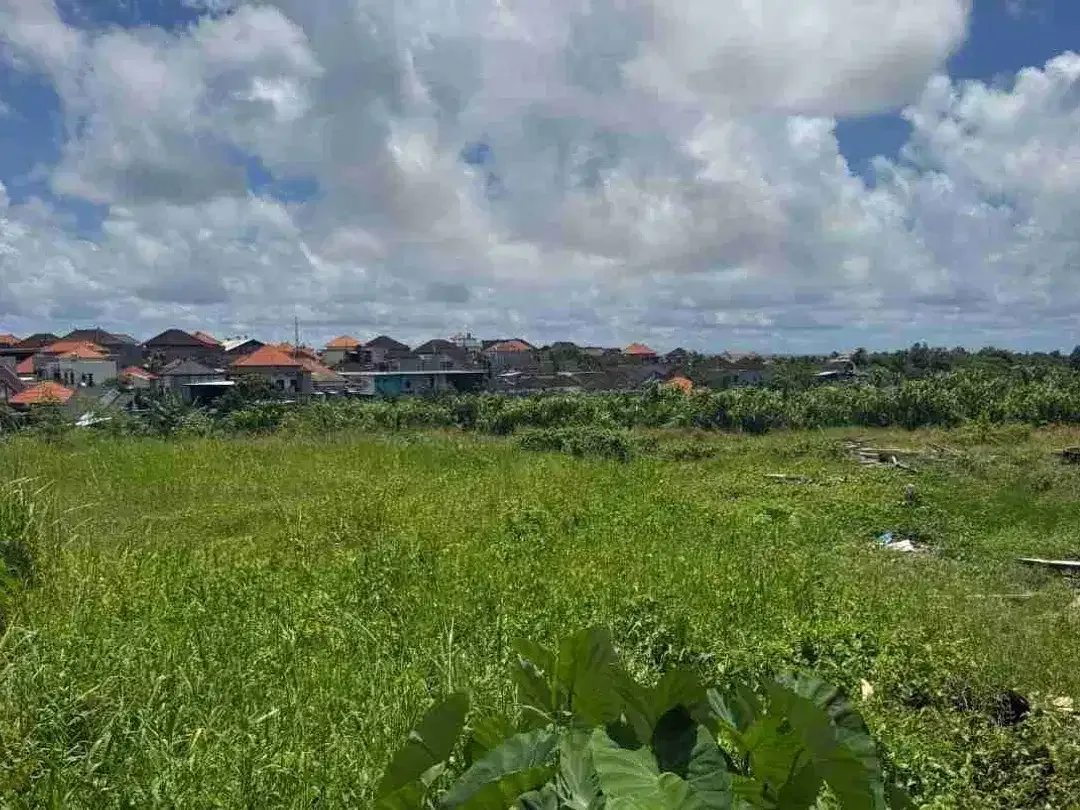 Tanah overleased zona pemukiman tibubeneg canggu bali - Image 3 of 10