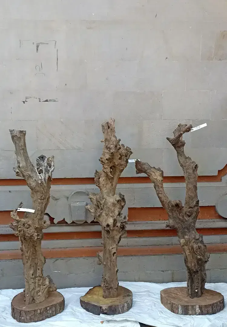 Kayu fosil estetik - Image 3 of 5