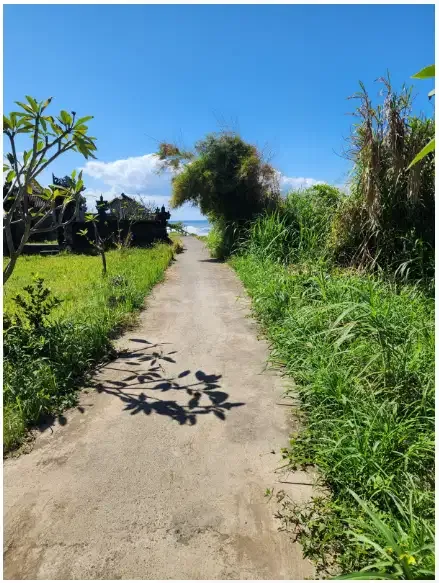 Tanah dekat Pantai Ketewel Gianyar Bali - Image 7 of 10