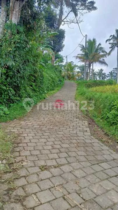 Tanah Jual Lokasi Belok Sidan - Image 1 of 3