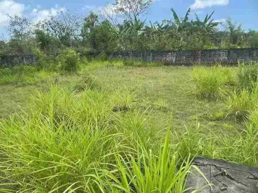 tanah plot Kecil 550m² IDR 950 jt/are Kawasan pantai Balangan Jimbaran Kuta Selatan Badung Bali - Image 1 of 7