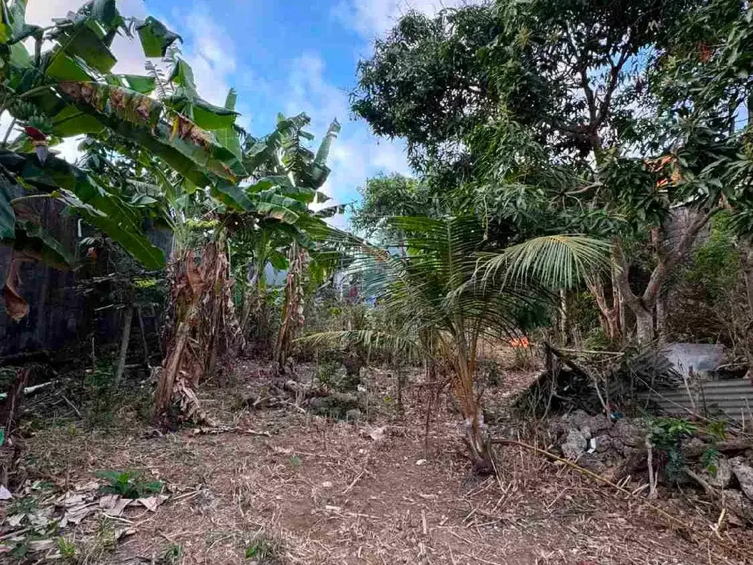 Tanah di Jalan Utama Toyaning dekat Pantai Melasti Bali - Image 2 of 4