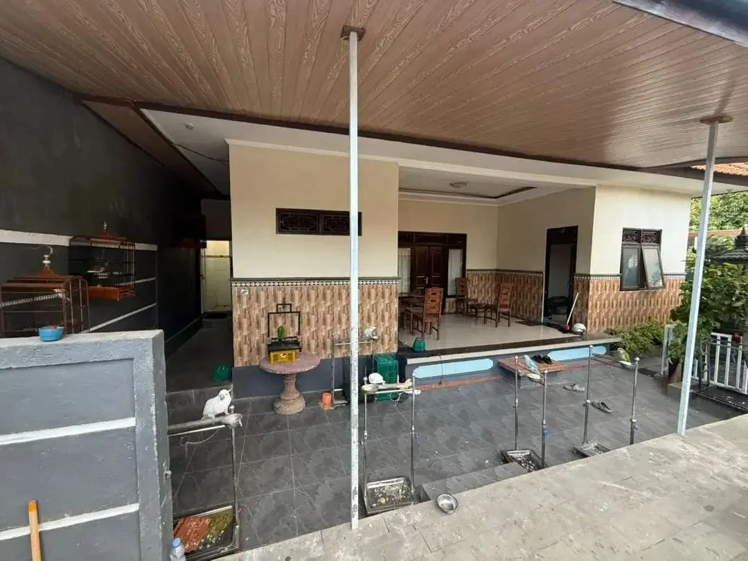 rumah kontrakan luas dan asri pet friendly - Image 4 of 4