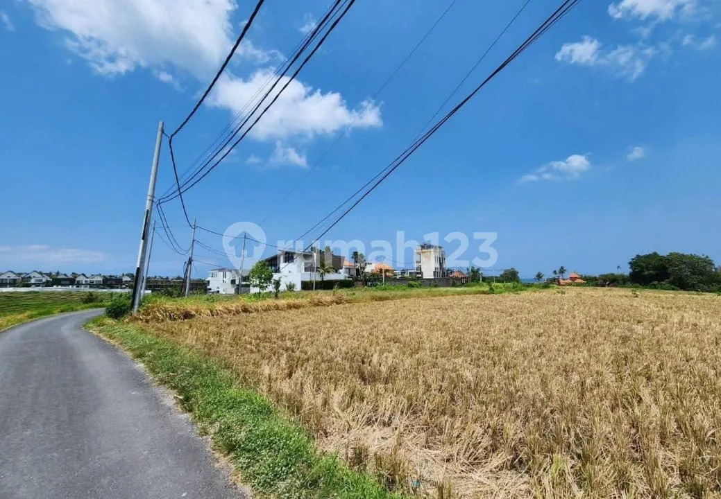 Tanah Zona Pink Strategis Jalan Aspal Dekat Pantai di Cemagi - Image 2 of 4