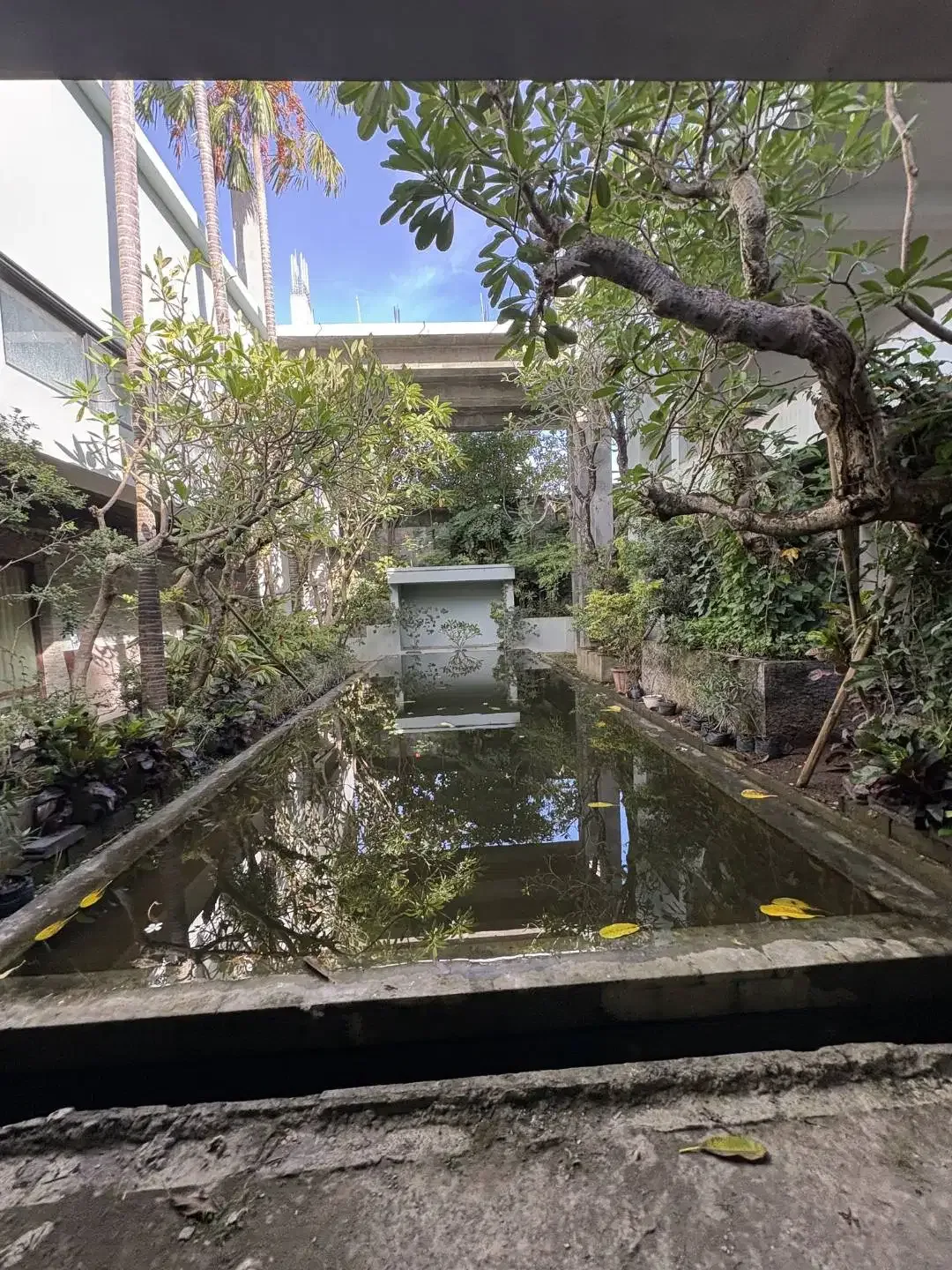 Dijual Tanah 1200 m2 di Umalas Kerobokan Struktur 4 Lantai - Image 6 of 9