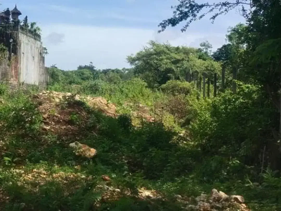 TANAH DI JALAN UTAMA DHARMAWANGSA UNGASAN BADUNG, BALI - Image 2 of 5