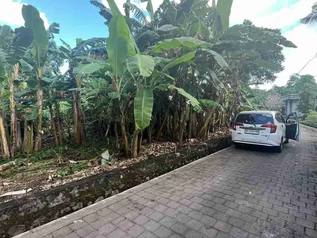 jual tanah dekat pantai tanah lot tabanan bali. - Image 3 of 10