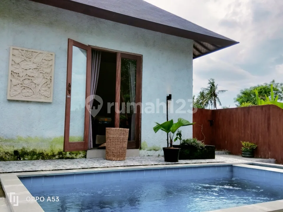 For Rent Villa 2 Bedroom 10 Menit Ke Central Ubud Mongkey Forest Ditengah Sawah 2 Kamar Tidur Ditengah Tengah Sawah Gga Ada Tetangga Rice Field View Sayan Ubud 10 Menit Dari Sentral Ubud Mongkey - Image 3 of 4