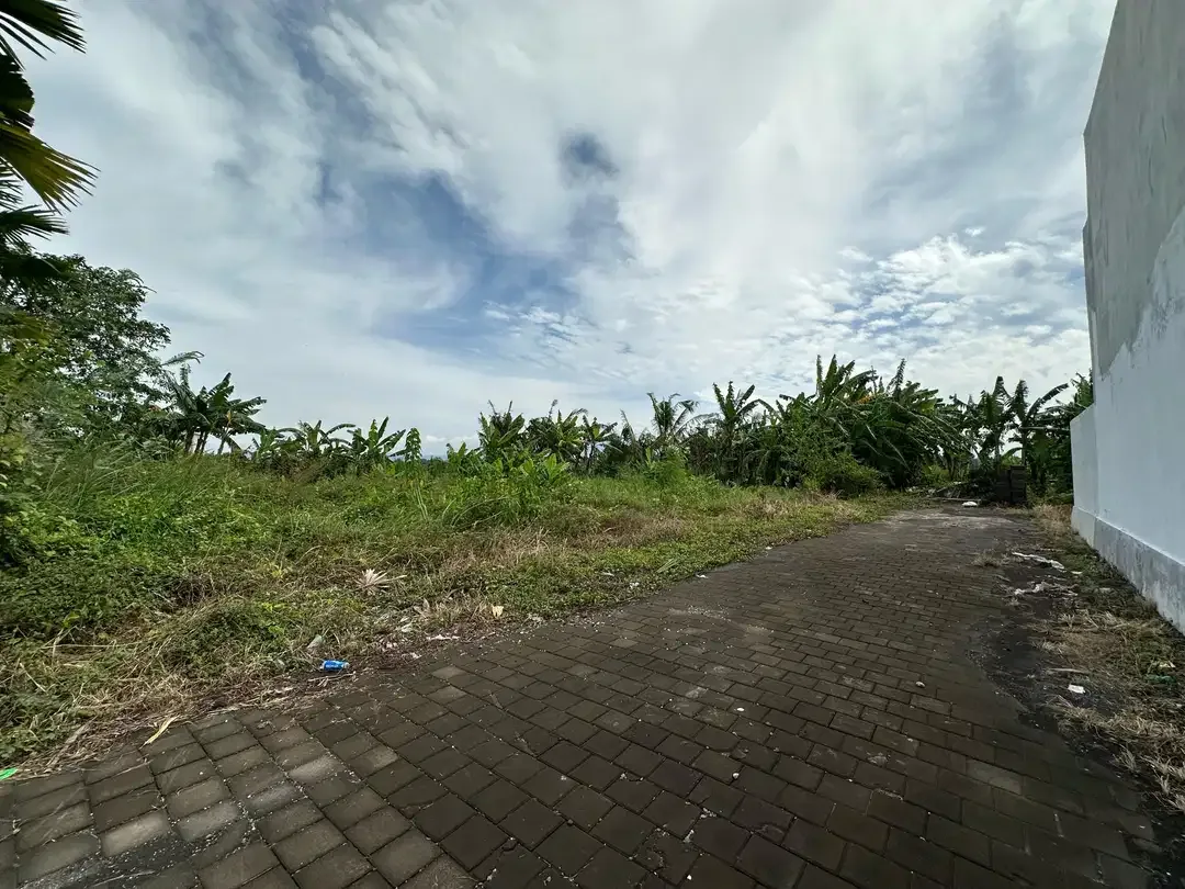 15 Menitan Canggu TANAH PANTAI KEDUNGU LINGKUNGAN VILLA VIEW SAWAH - Image 7 of 10