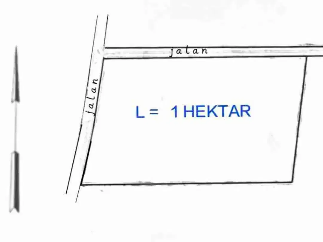 dijual tanah 1 hektar IDR 550 juta per are dekat Savaya pecatu Kuta Selatan Badung Bali - Image 4 of 6