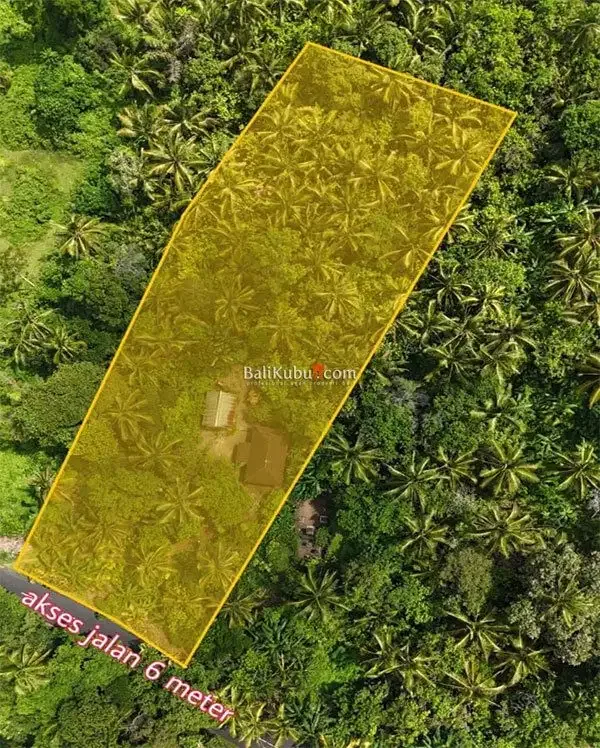[AMS-015.KWN] Jual Tanah Kebun 1 Ha di Jl Surabrata Selemadeg Tabanan - Image 5 of 7
