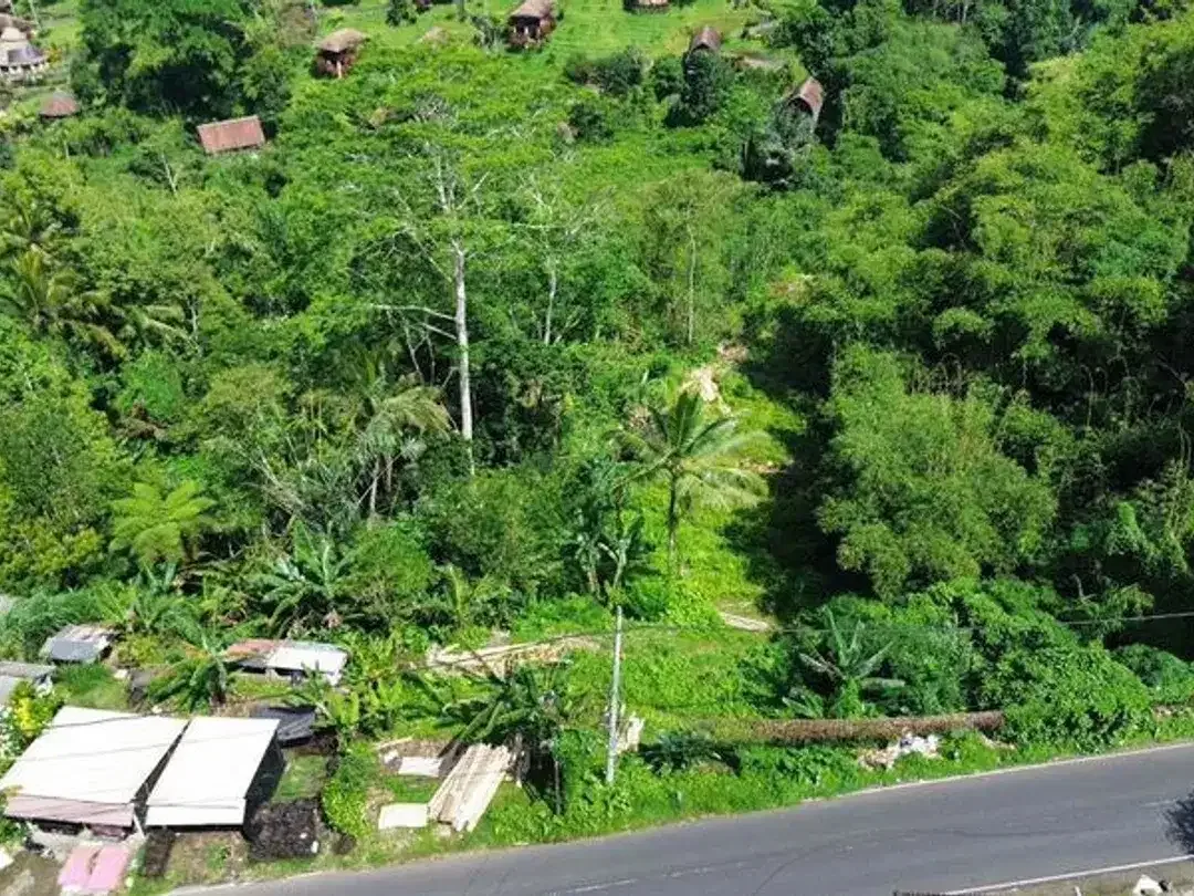 Tanah Lokasi Strategis Sebatu Ubud - Image 4 of 9