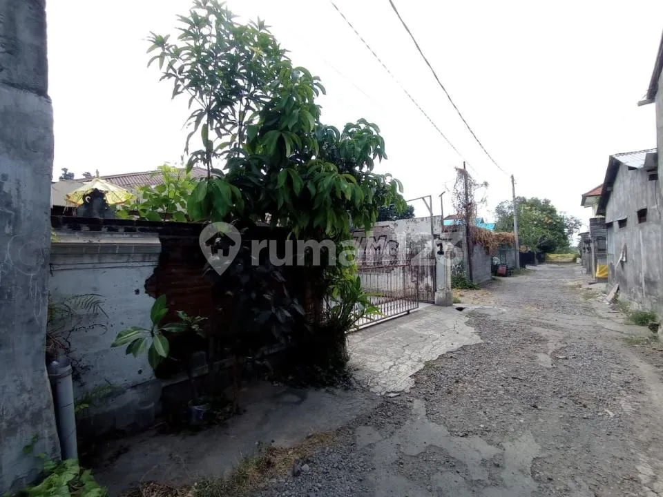 Rumah Siap Lelang Btn di Sukasada, Bali - Image 3 of 4