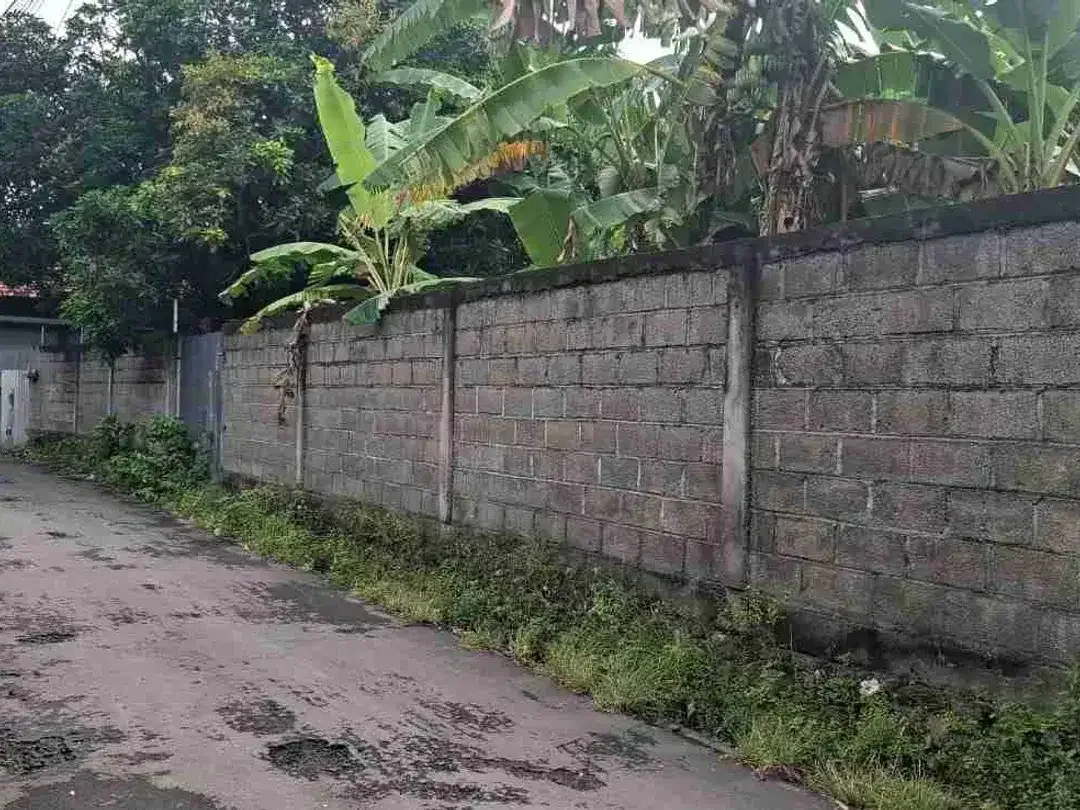 Tanah Murah Area Sanur Lokasi Nyaman dan Strategis - Image 3 of 6