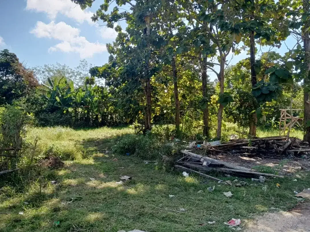 Tanah Murah 2,4 Are di Ungasan Jalan Bali Cliff Cocok Untuk Villa Hunian dan Investas - Image 3 of 3