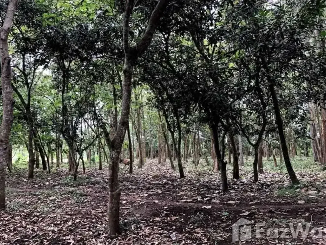 Land for sale in Kaba Kaba, Bali - Image 8 of 10