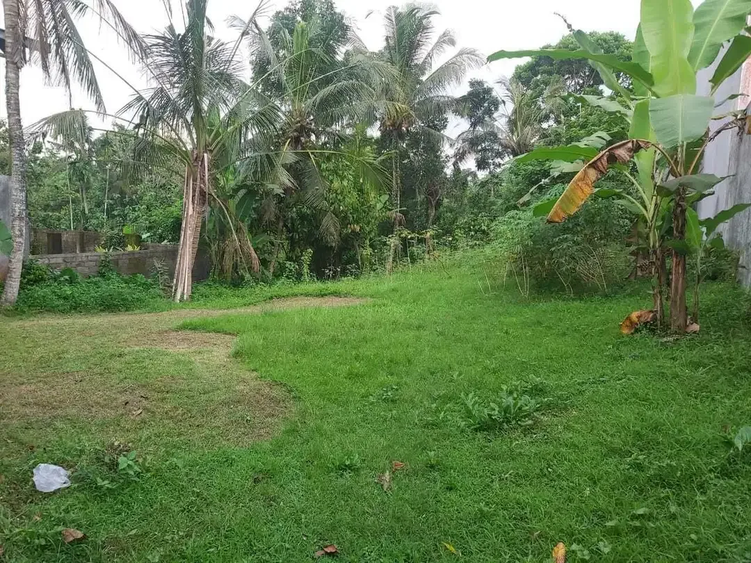 Tanah Zona Kuning di Jalan Utama Denpasar Gilimanuk dekat Astra Megati - Image 4 of 4