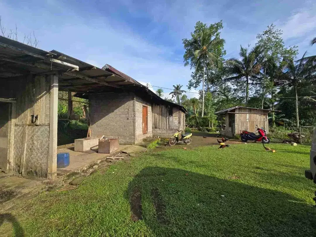 tanah kebun datar view sawah ketinggian 700 mdpl - Image 10 of 10