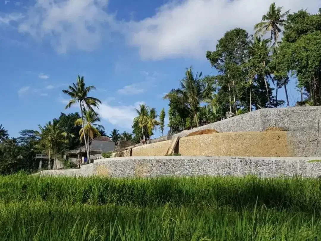 Tanah 2.549 m² Dijual di Tampaksiring, Tegallalang, Gianyar - Image 1 of 10