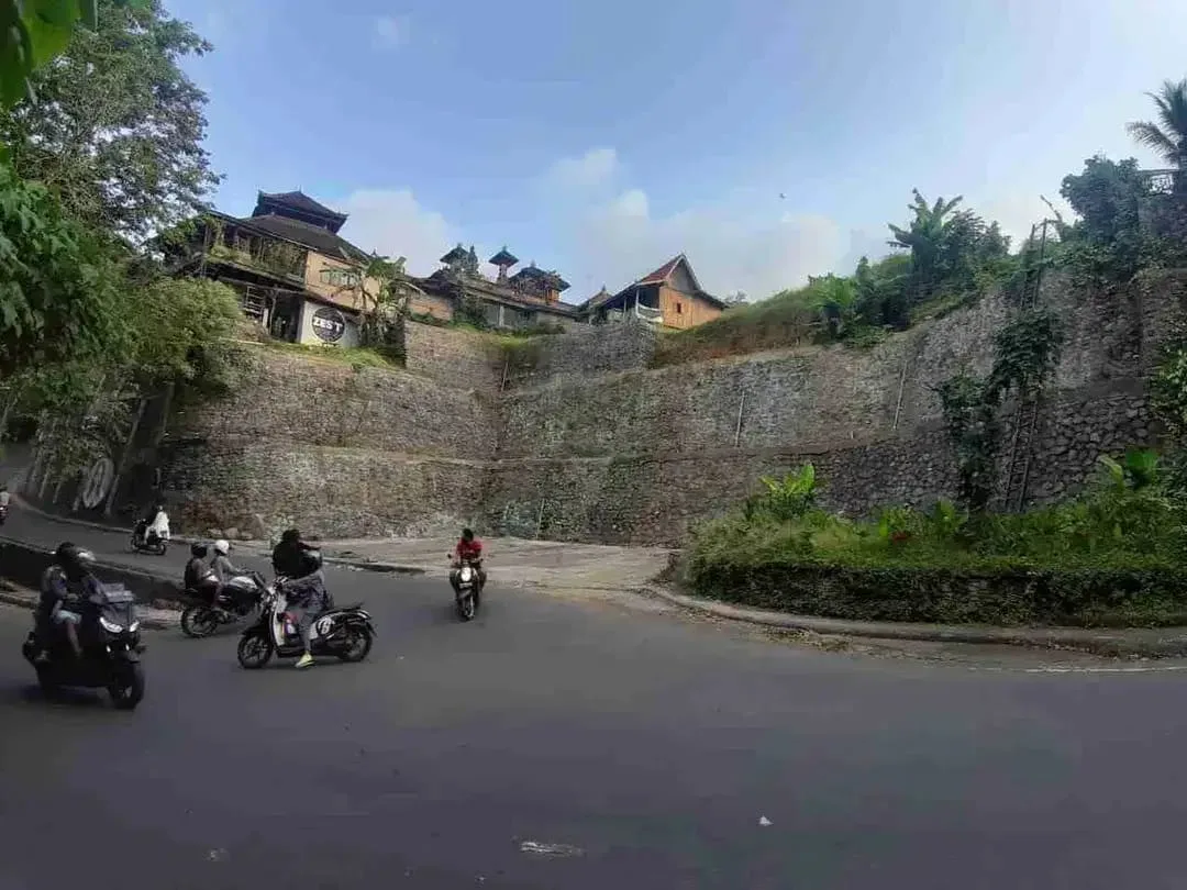 Tanah Komersial Ubud Center Dekat Museum Blanco - Image 2 of 10