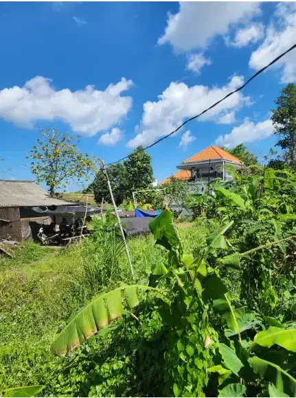 Tanah 18 Are di Berawa Canggu - Image 2 of 9