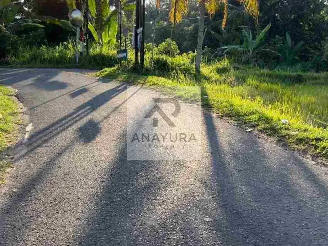 Tanah Pejeng Kangin Dekat Ubud - Image 9 of 10