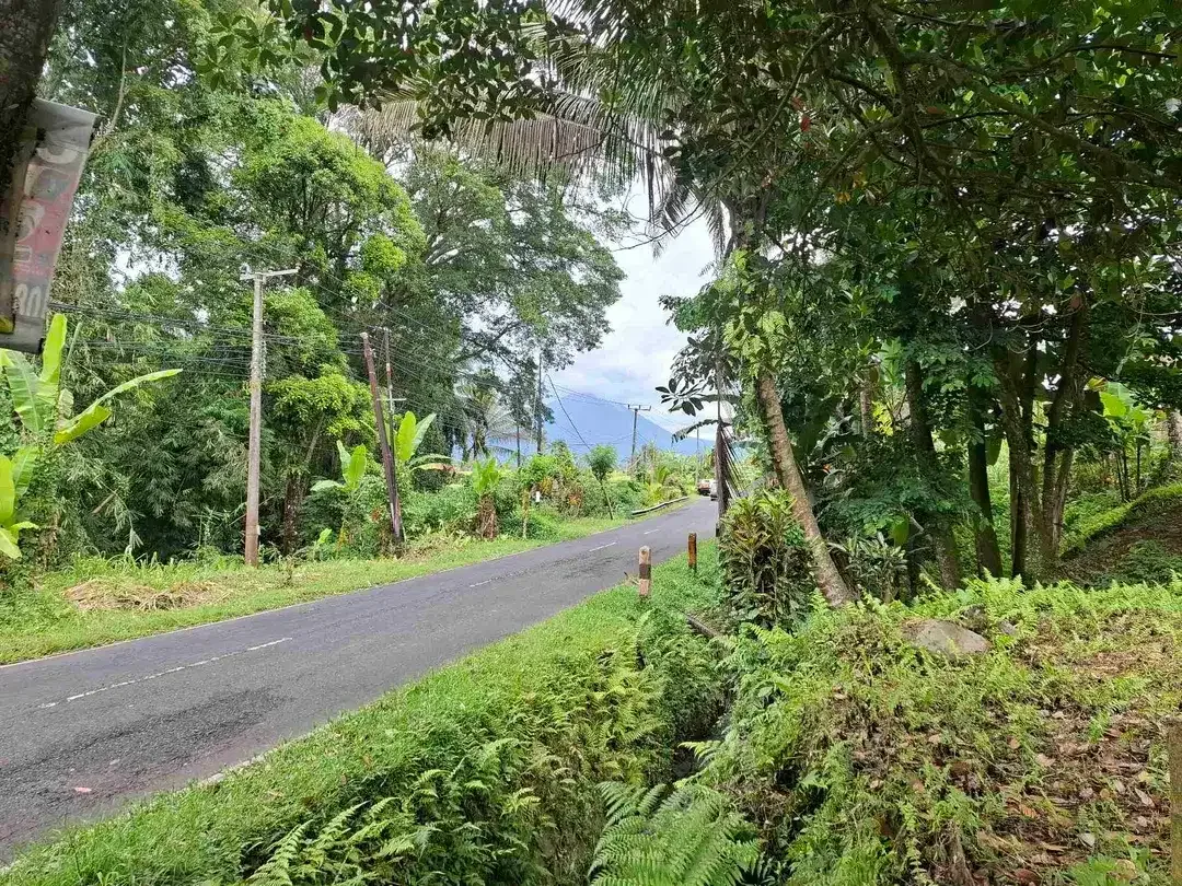 tanah luasan kecil view sawah dapat akses jalan utama penebel - Image 6 of 8