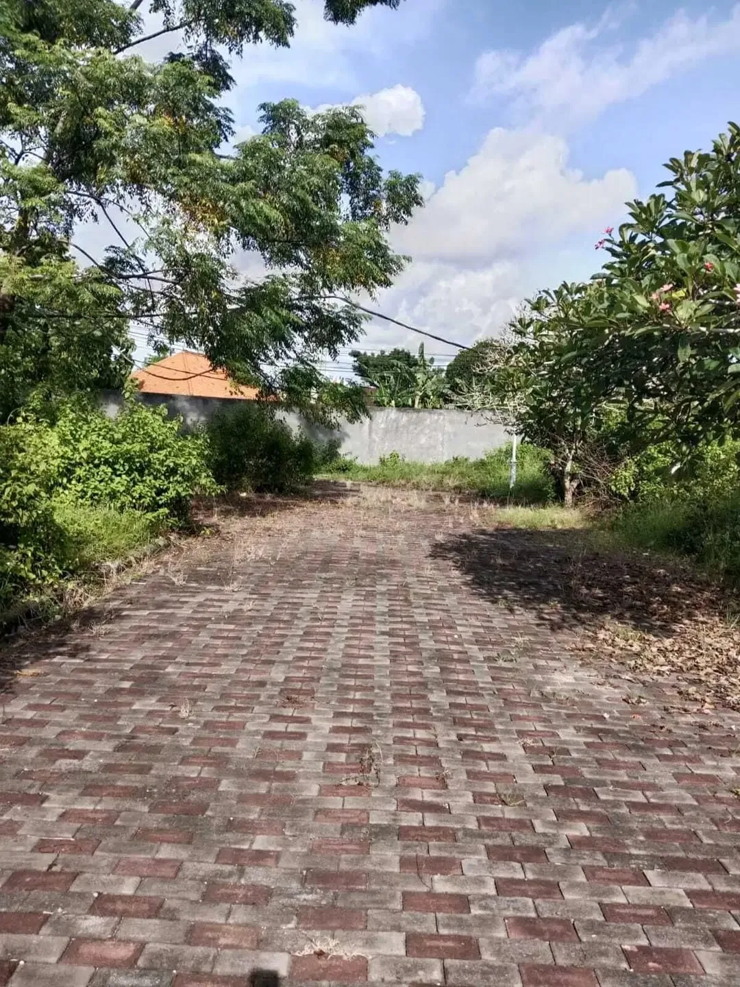 Dijual Tanah Kavling dijalan Utama Uluwatu Kawasan Prime Summerfield - Image 6 of 6