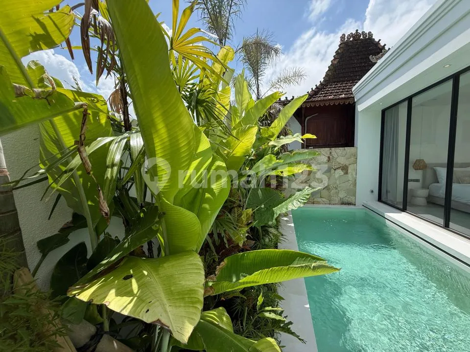 Leasehold Villa 27Years - Seseh Beach Munggu - Image 4 of 4