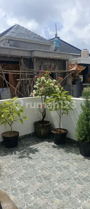 Disewakan Rumah Barulokasi Jl Bay Pass Ida Bagus Mantra - Ketewel - Image 2 of 4