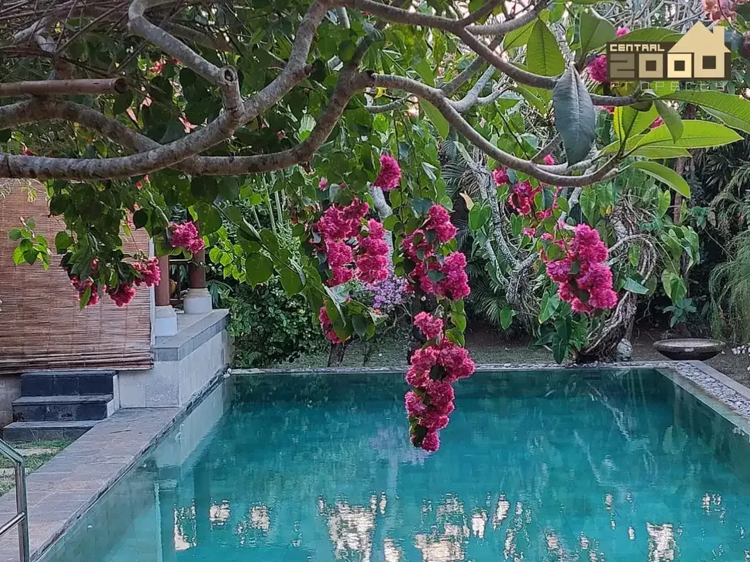 Luxury Tropical Villa with Private Pool in Jimbaran - Image 3 of 6