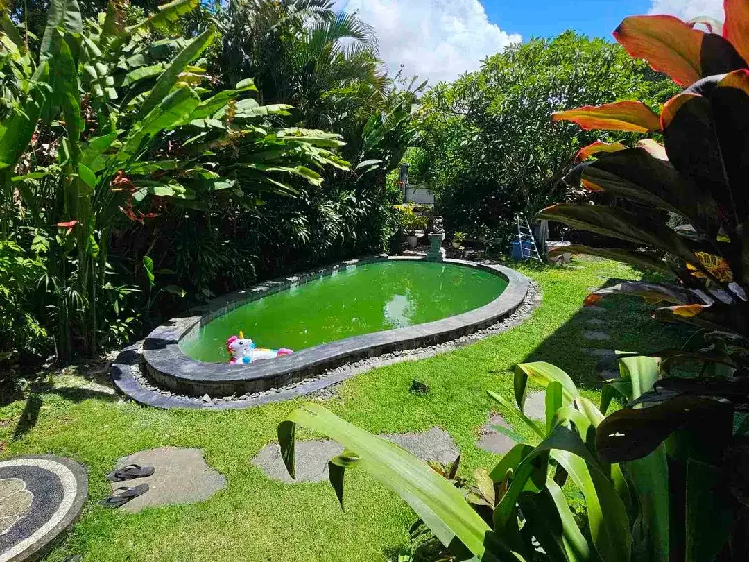 3 bedroom in kerobokan near Bali kidy school - Image 2 of 6