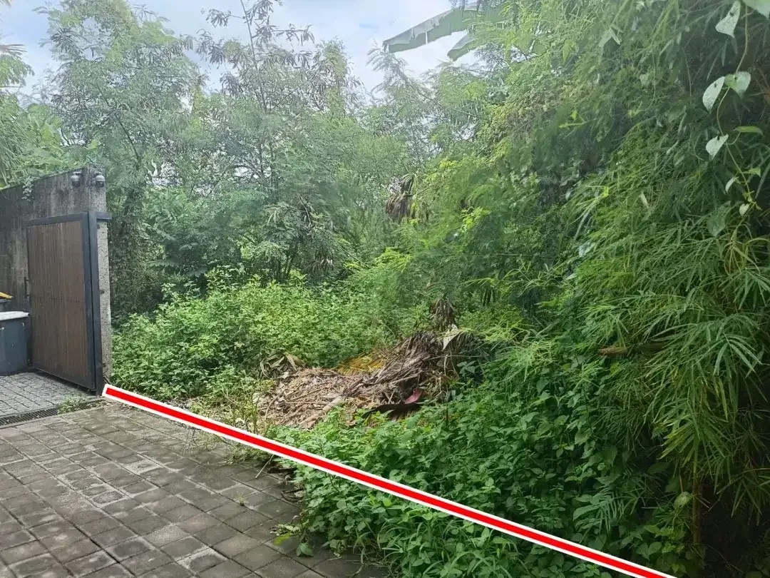Land for rent in Jl Tegalsari, Berawa, Canggu - Image 3 of 5